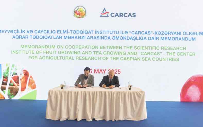Меморандум Центра CARCAS и Института плодоводства и чаеводства Минсельхоза Азербайджана